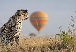 2 day tanzania safari from zanzibar  2 Days Safari from Zanzibar  Price Start from -  845 