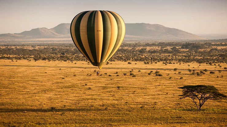 3 day serengeti fly in safari