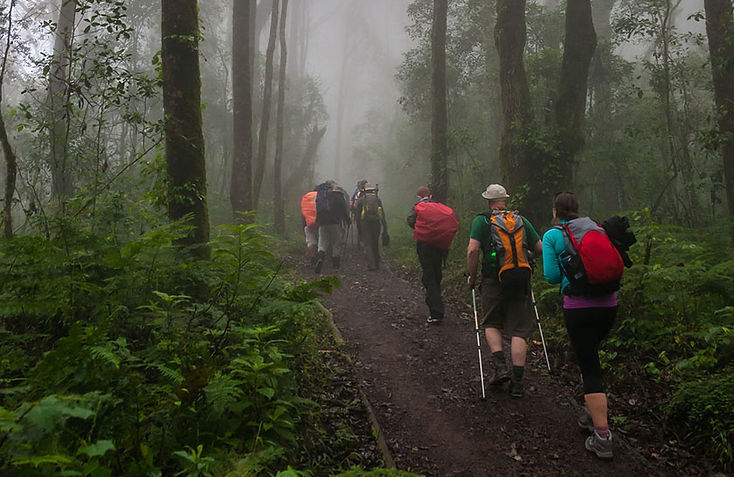 Mount Kilimanjaro one day trip