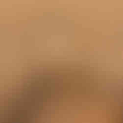 Lohnt sich eine Safari ab Sansibar? Ein klarer und ehrlicher Leitfaden für Erstbesucher