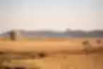 Serengeti Melia Luxury Lodge6.avif