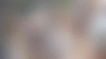 Der beste Nationalpark, den man von Sansibar aus besuchen kann