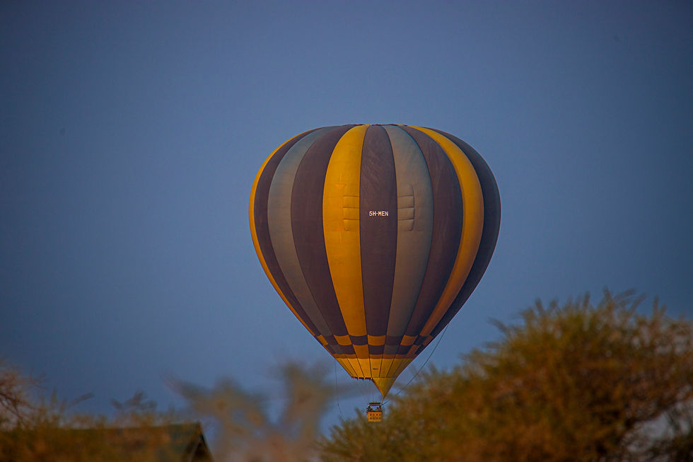 4 Day Serengeti fly-in Safari engeti 4 day