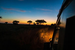 👥 Groups & Friends