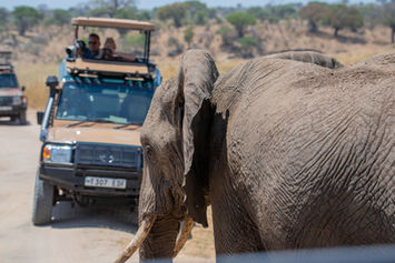4-Day Tanzania Safari Package Itinerary and Price 

