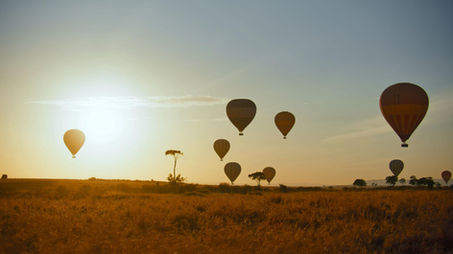 Les meilleurs parcs safari de Zanzibar