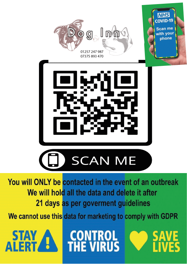 Dog-Inn-PUB---CORONAVIRUS---COVID-19-Tra