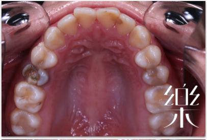 截圖 2022-02-17 上午11.13.42