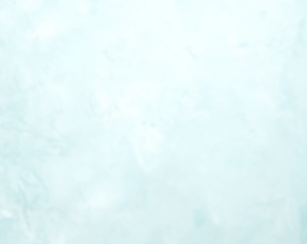 648300-PORQ48-148_edited_edited.png