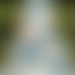 Tiers Before Bridetime