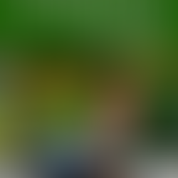 Gnome Is Where The Heart Is