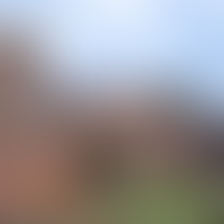 Encouraging Diversity