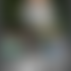 Turmoil at the DHRA As 2018 Calendar Divides Opinion