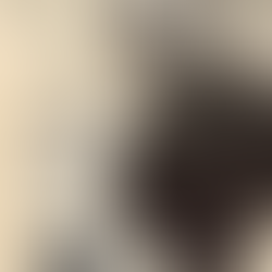 Remembering Edmund Hockpiece: Dorset's Mario Lanza