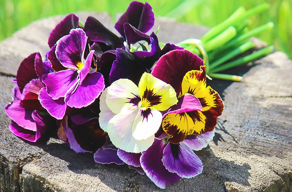 iStock-1127790358.jpg