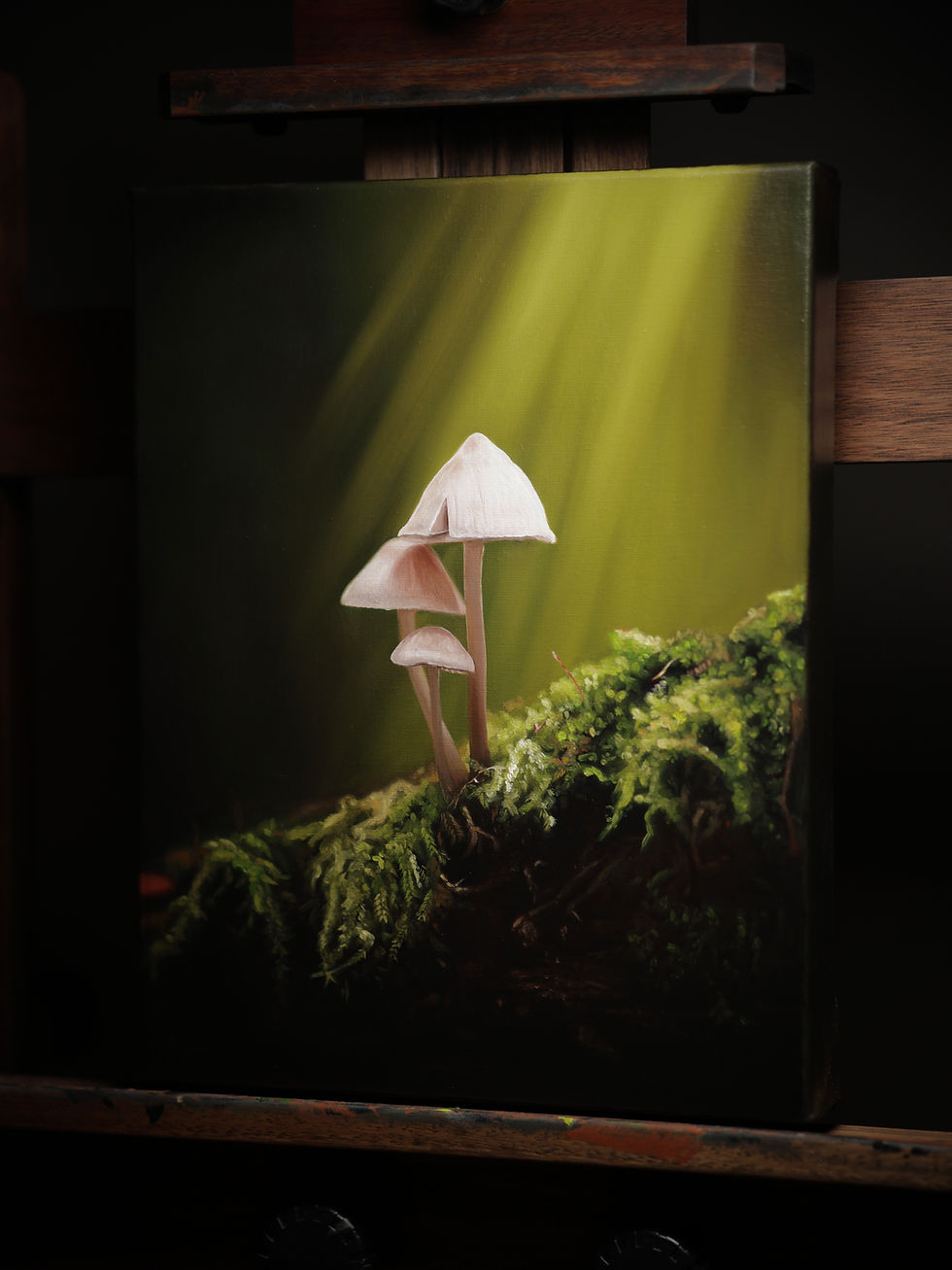 Thumbnail: "Mycena” Limited Edition Print