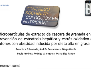 Entrega Premios SOCHINUT-NESTLE 2020