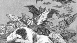 Goya's Oneiric Opus