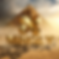 hf_20260408_090629_a9fabd51-1d5c-45eb-97a6-a4664d0ba016.png