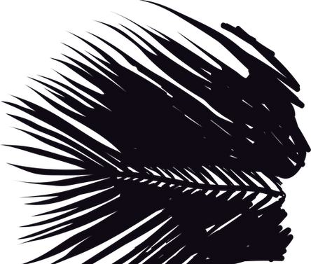 Asset 6_4x.png