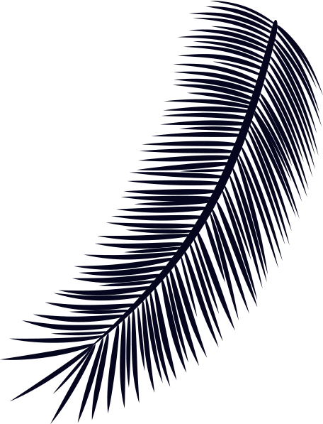 Vector Smart Object_edited.png
