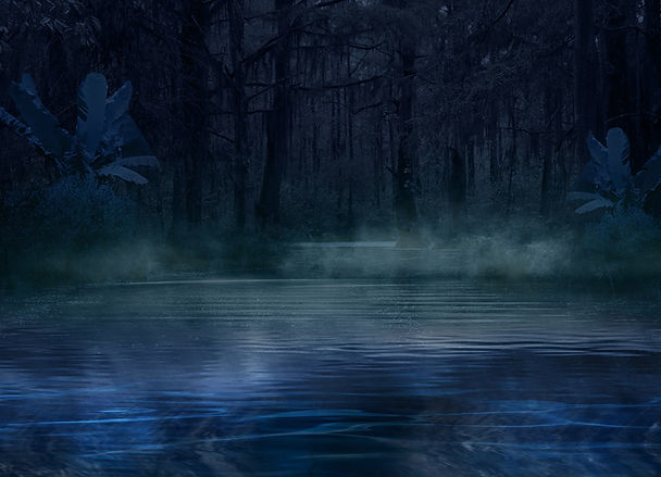 FN-2022-Swamp-Backg.jpg