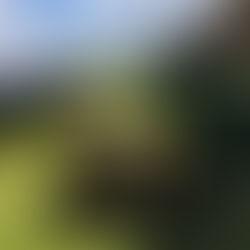 Introducing SPIDER 2SGS EFI: An RC Mower with Electronic Fuel Injection Technology