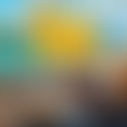 I Am Fish, a sequência rolante de I Am Bread, vai ganhar lançamento comercial completo em 2021