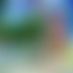 Demo de Trails in the Sky 1st Chapter já está disponível para Nintendo Switch 1 e 2