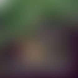 Demo de RAIDOU Remastered: The Mystery of the Soulless Army já disponível!