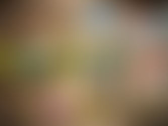 Conheça o mundo de DRAGON QUEST TREASURES