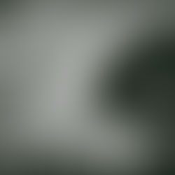 Squadron 51 - O Jogo brasileiro mais ambicioso ganha trailer e janela de lançamento para Switch