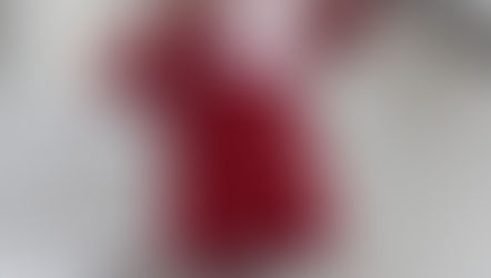 Get Princess Charlotte's Red Winter Look!