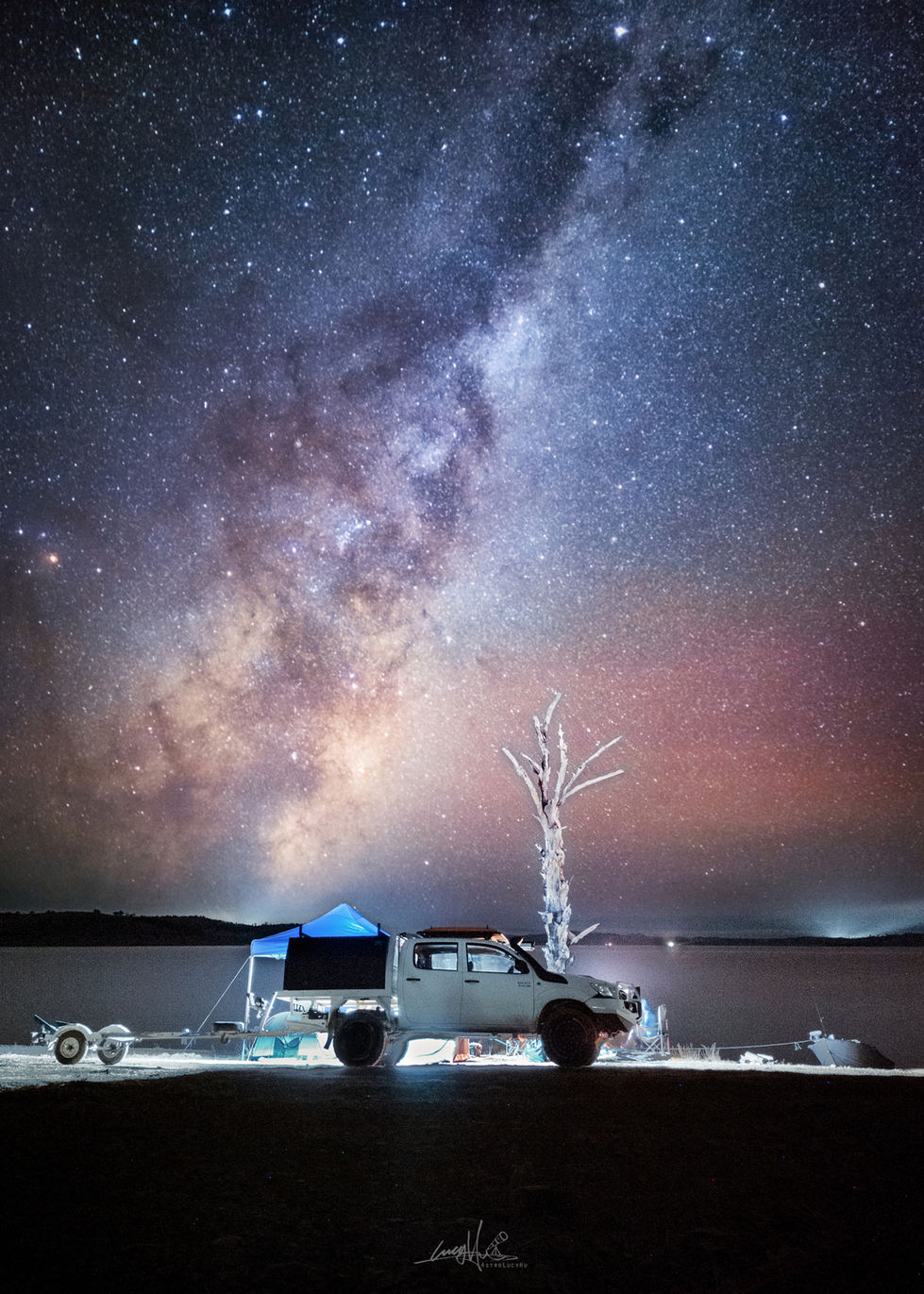 Under the Lonely Tree (smartphone)