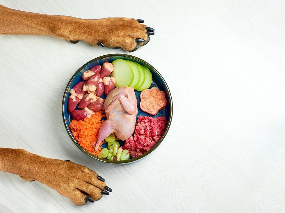 Guide to Healthy and nutrition Dog Food