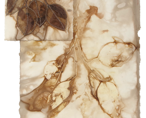 Eucalyptus leaves eco print on paper embellished with machine embroidered leaves