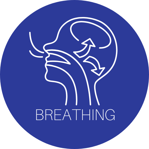 Diagram of human head profile with arrows showing air flow, labeled "BREATHING" on blue background.