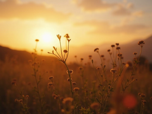 The Benefits of Taking a Whole-istic Approach to Health