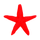 Starfish_edited.png