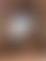 Wat Yai Chai Mongkhon