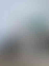 Mosquée à Lamu Town