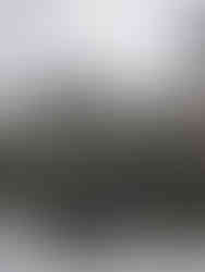 hippopotame à Tsavo Ouest