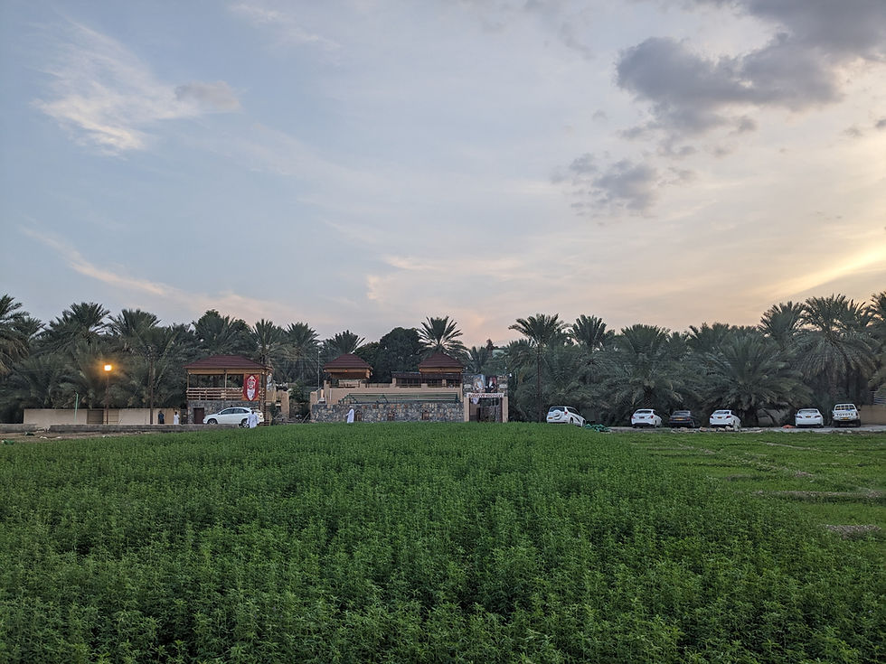 Palmeraie Al Hamra