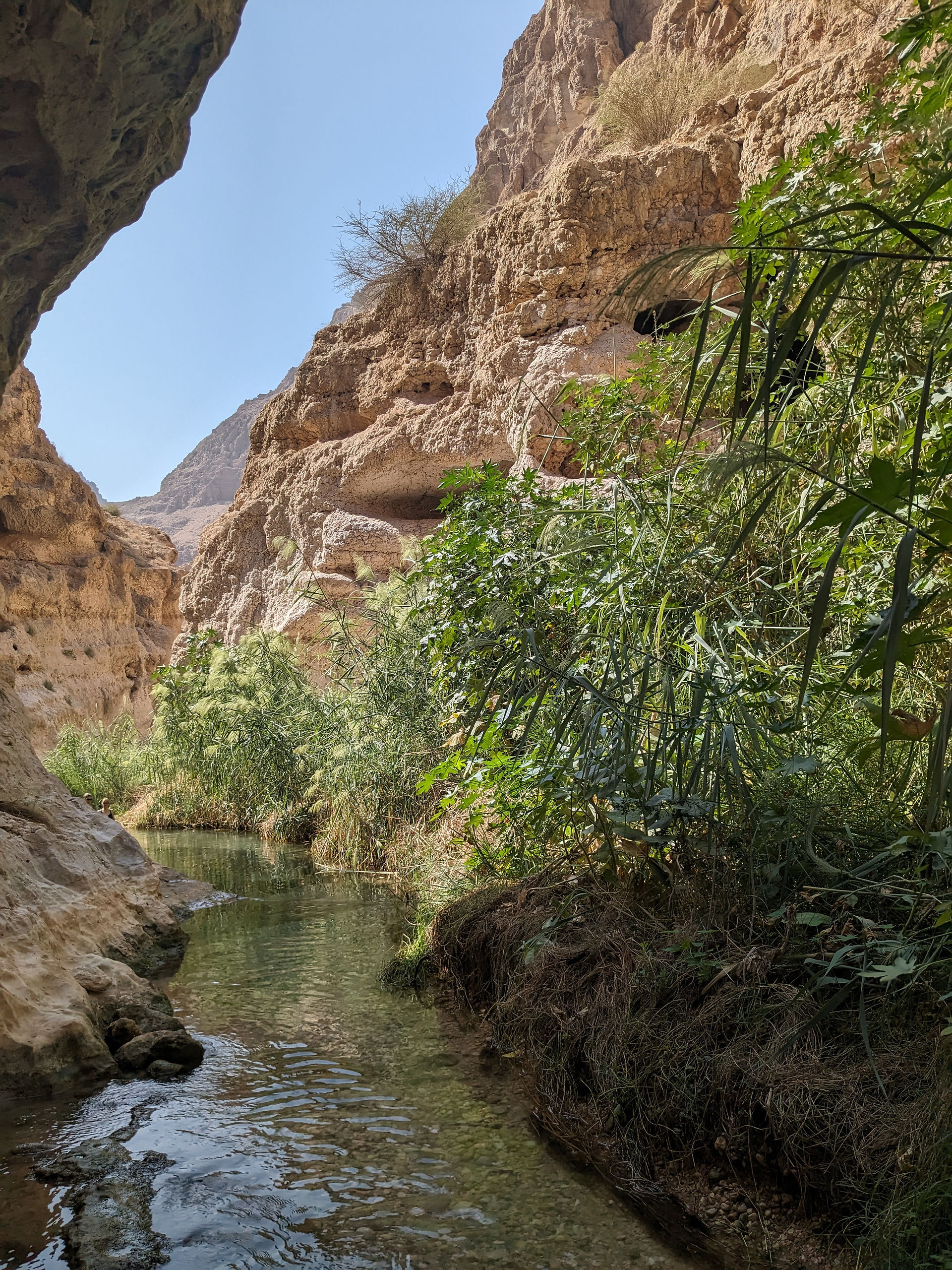 Bassin du Wadi Shab