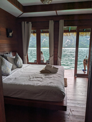 Chambre Panavaree the Greenery