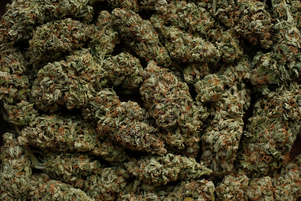 From premium flower to infused beverages, discover the top cannabis trends shaping the Redwood City market.