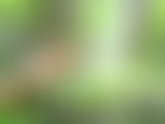 What to Expect in Therapy in Eugene, OR: A Guide for Your First Counseling Session