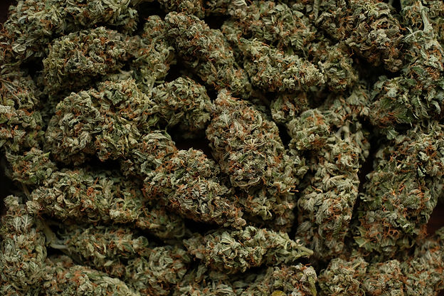 From premium flower to infused beverages, discover the top cannabis trends shaping the San Francisco market.