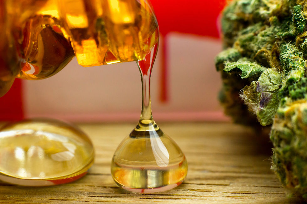 Curious about concentrates? Our latest cannabis concentrate guide breaks down the most popular products, how they're made, and what consumers should know before exploring this category.