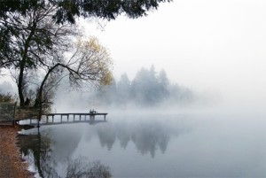 Nature of Mind